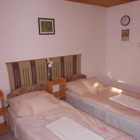 Bed & Breakfast Familia Panzio Makó