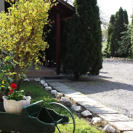 Bed & Breakfast Familia Panzio